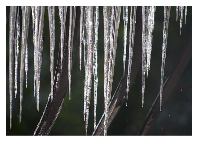 Frozen icicles on a balcony railing